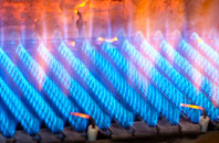 Erlestoke gas fired boilers